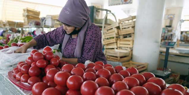 Узбекистан рискует остаться без урожая