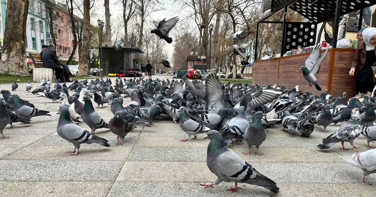 Дождливо: погода на 31 октября