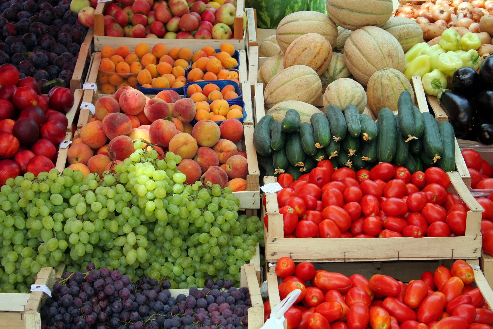 Сколько Узбекистан заработал на фруктах и овощах?