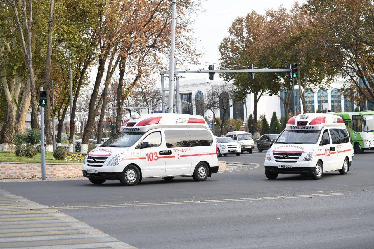 В Ташкенте дерево упало на машину и убило 26-летнюю пассажирку