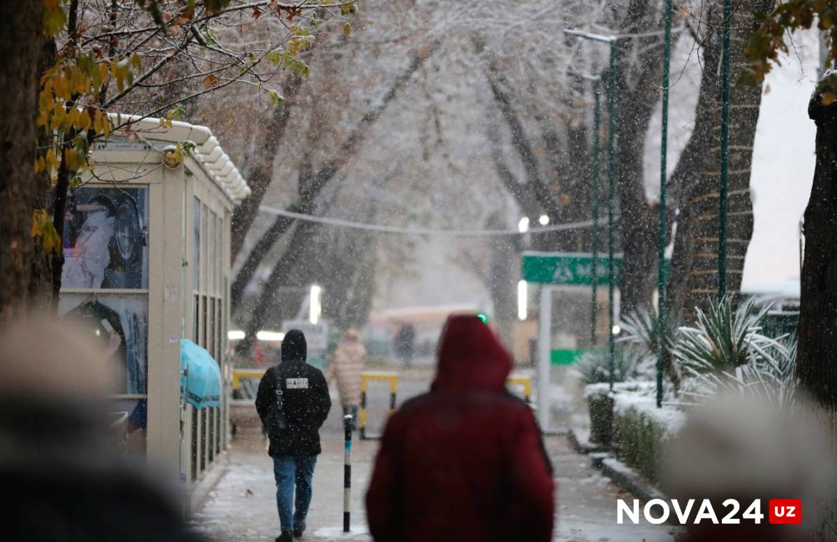 «Мороз и осадки»: Узбекистанцев предупредили о резком ухудшении погоды