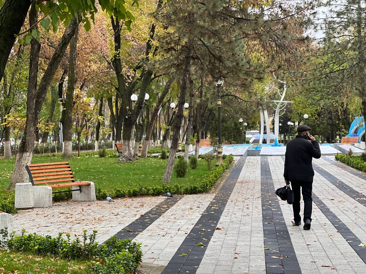 Узбекистанцы смогут выбрать места для создания парков и садов