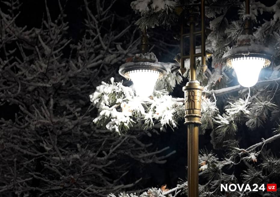 В Ташкент пришла зима — видео