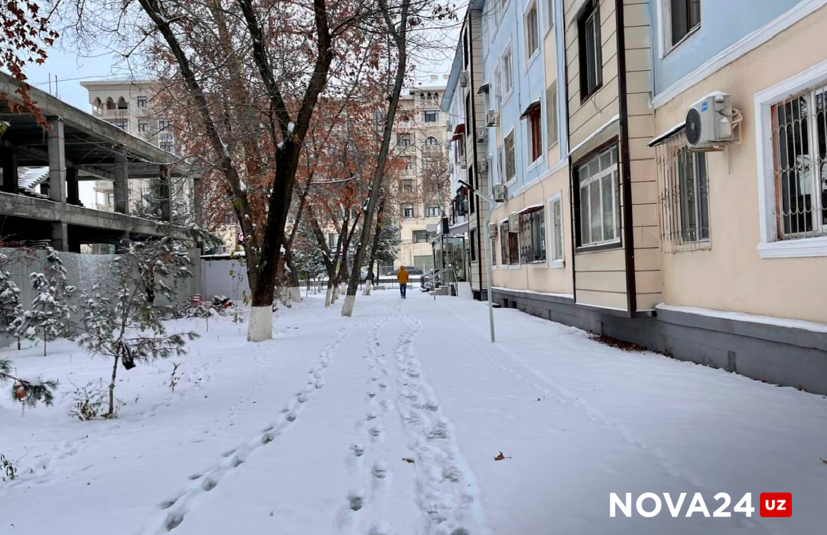 Снег и холод: погода на 16 декабря