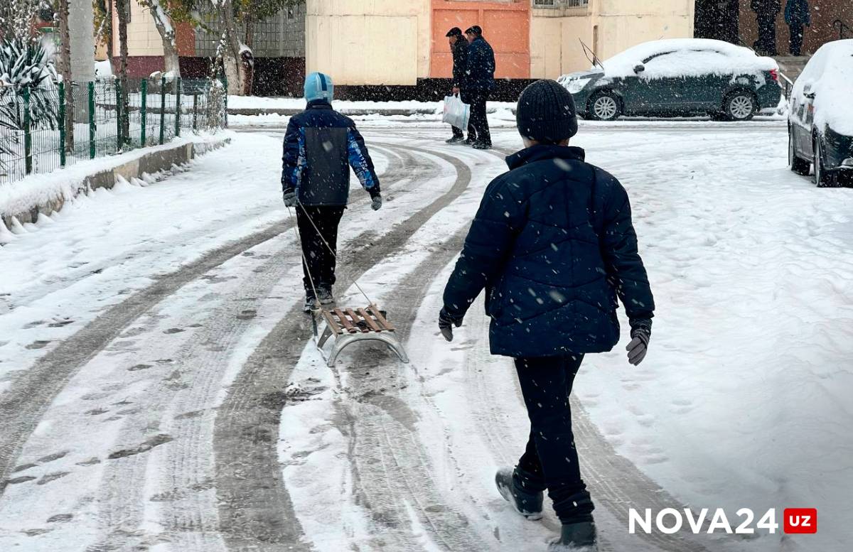 В каких регионах Узбекистана выпадет снег — прогноз погоды