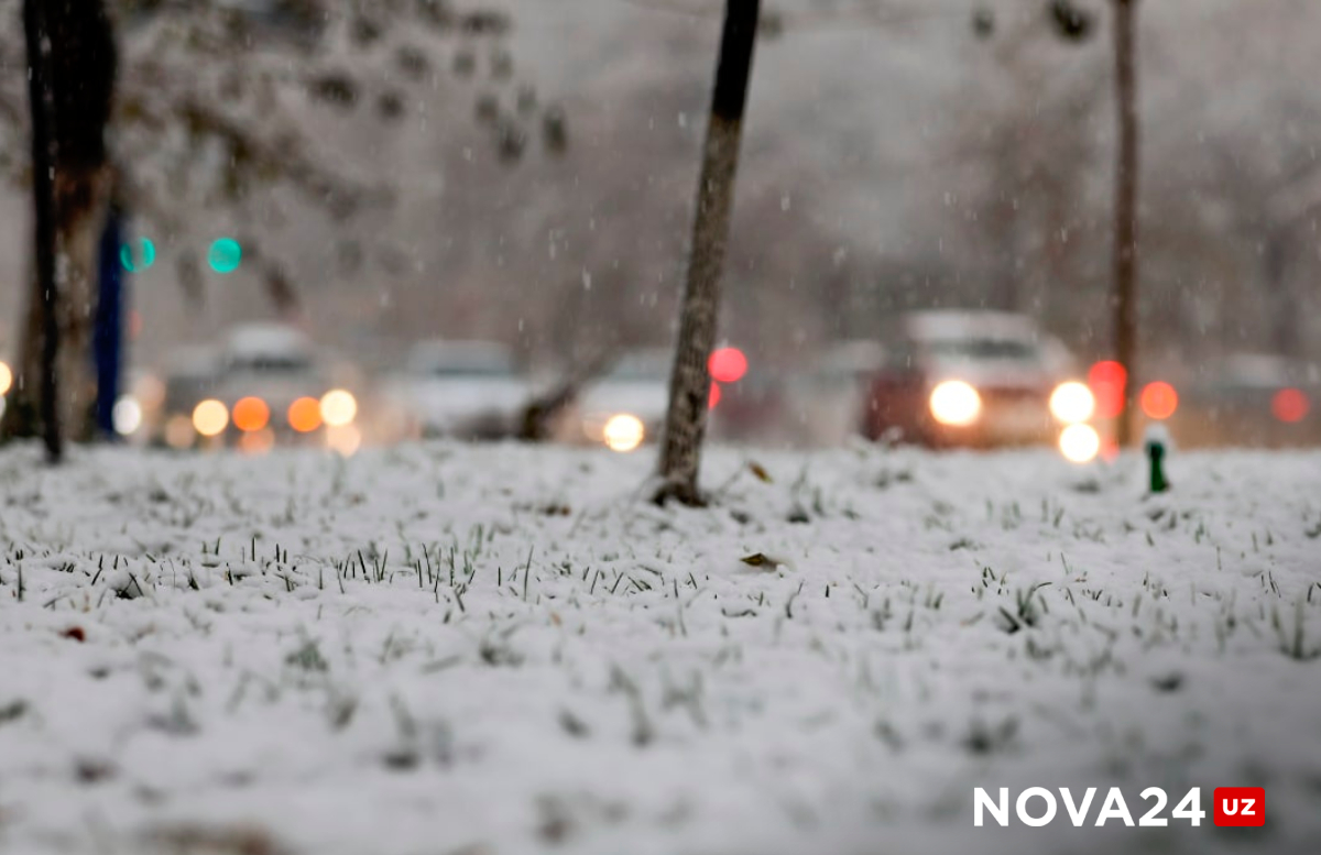 Морозы и снег: погода на 11 декабря