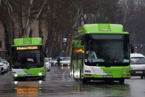 Автобусы Ташкента «позеленеют»