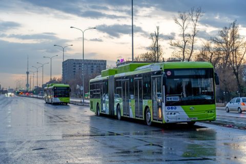 В Ташкенте автобусы будут работать в Новый год