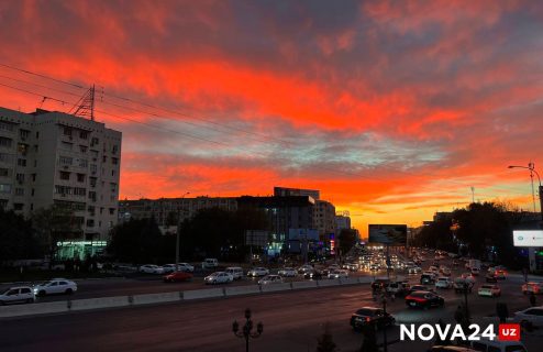 Бюджет Ташкента на 2024 год: на чем собирается зарабатывать столица?