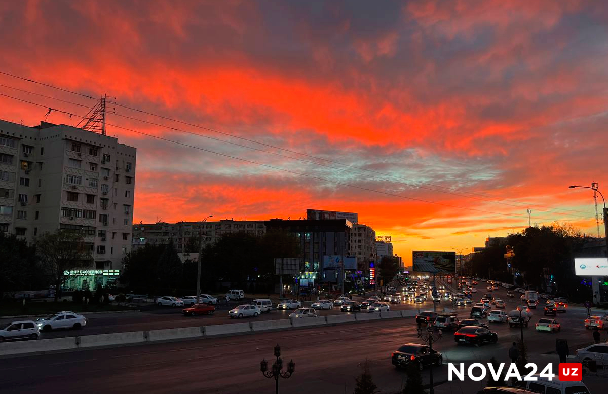 Бюджет Ташкента на 2024 год: на чем собирается зарабатывать столица?