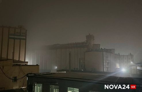 Ташкент накрыл «нездоровый» смог — видео