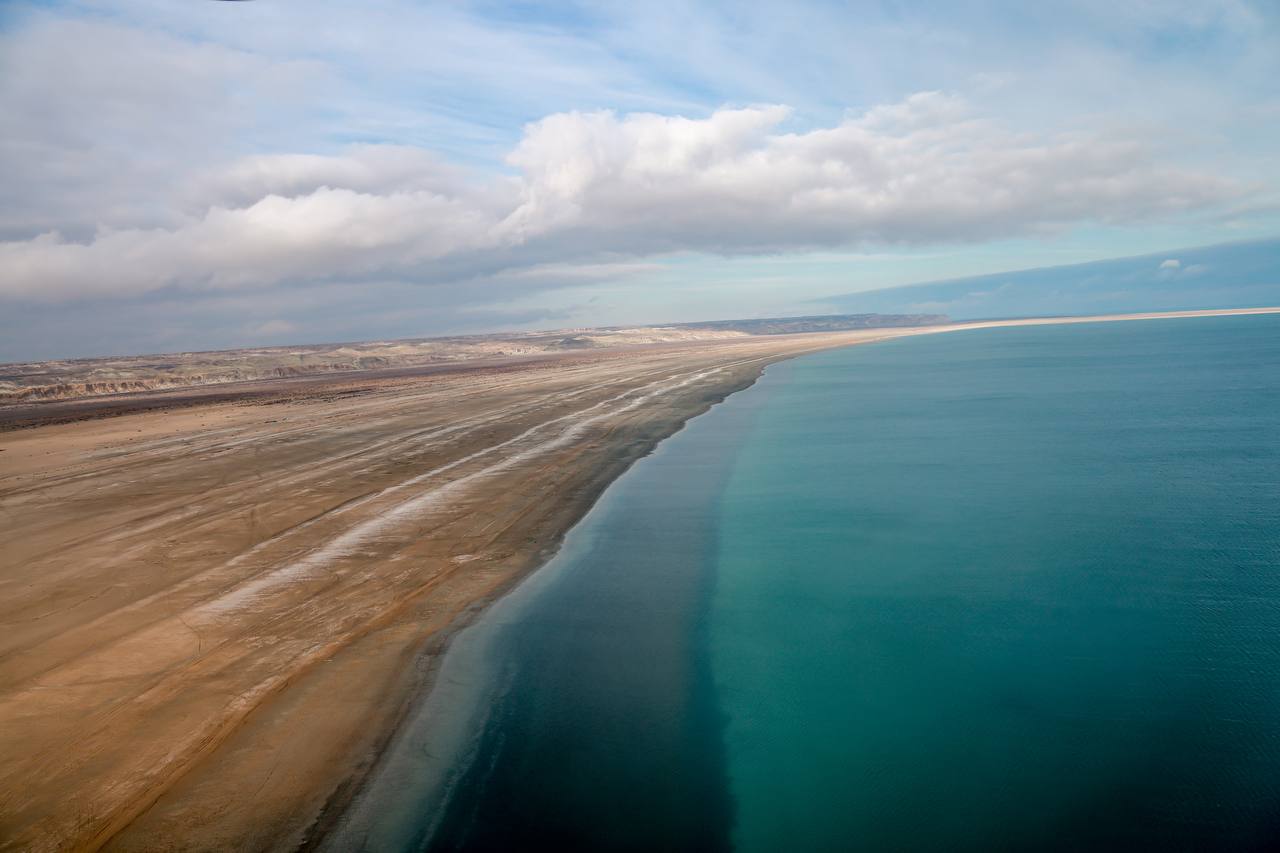 Высохшее Аральское море засеют саксаулами с самолётов