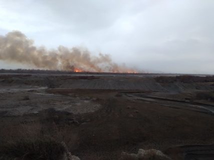 В Зарафшанском национальном парке произошел крупный пожар — видео