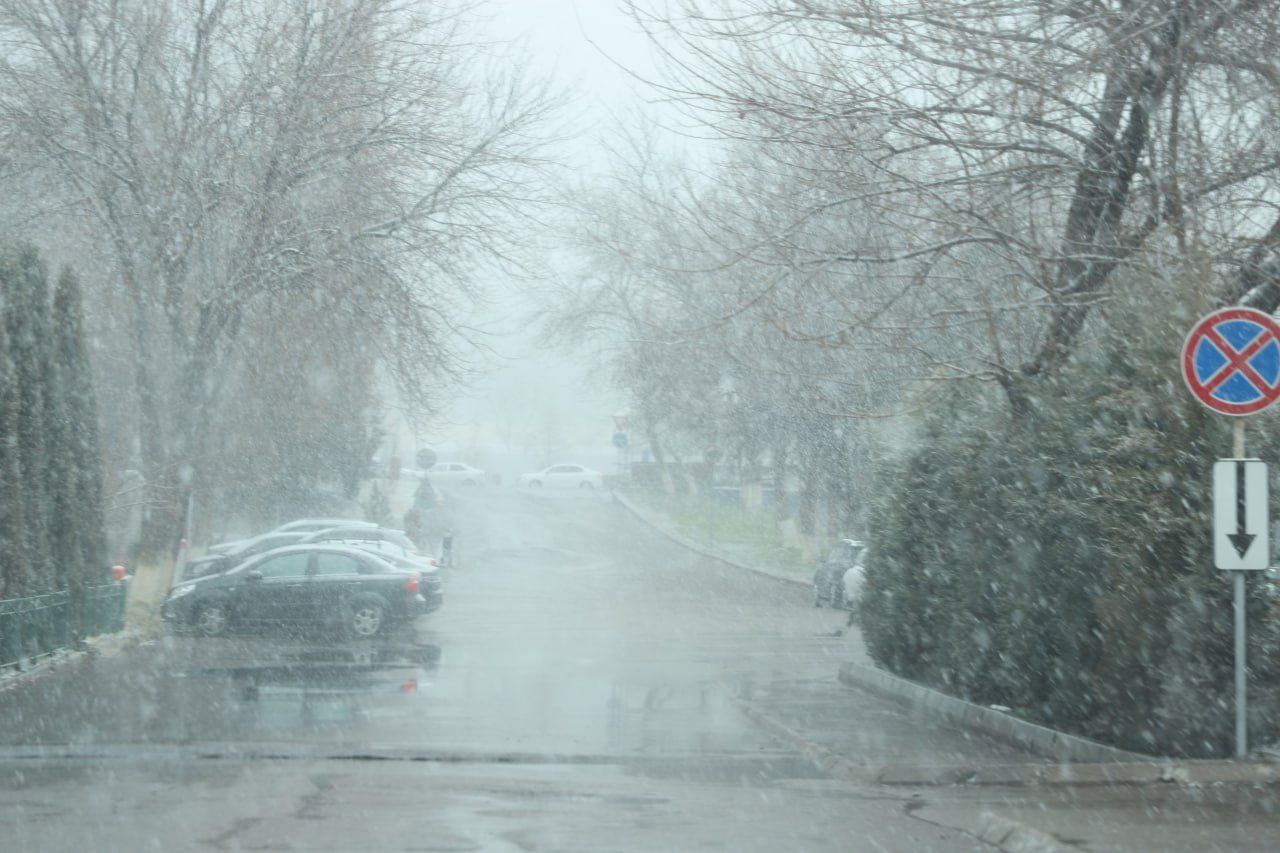 Туман и мокрый снег: погода на 30 января
