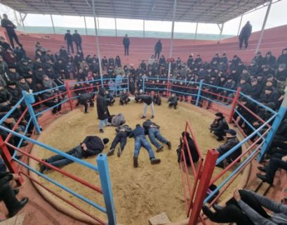 В Ферганской области поймали организаторов петушиных боев