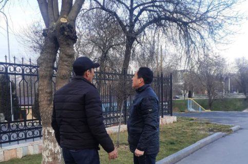 В Ташкенте сотрудника Экопарка оштрафовали за обрезку деревьев зимой