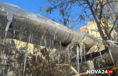 «Морозы до 16 градусов»: Какая погода будет в Узбекистане в первые дни февраля