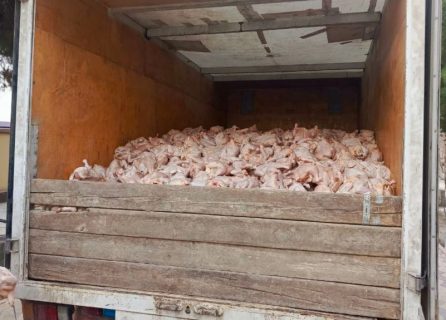 В Ташкент пытались провезти несколько тонн тухлого куриного мяса
