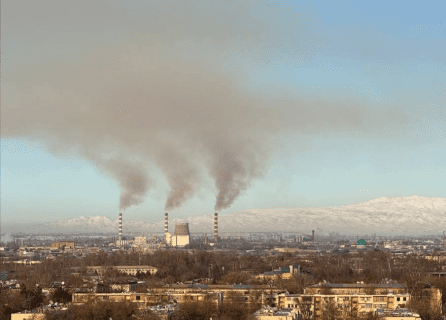 Экопартия потребовала расследования загрязнения воздуха с ТашТЭС