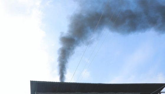 В Ташкенте владельцы теплицы сжигали шины для отопления