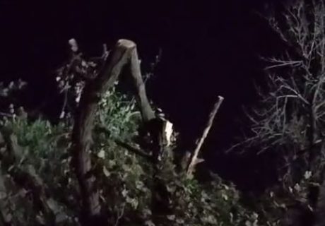 Застройщики уничтожают парк «Дустлик», отделываясь штрафами — видео