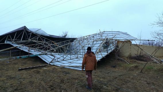 Ветер обесточил почти 150 тысяч домов в Самаркандской и Джизакской областях