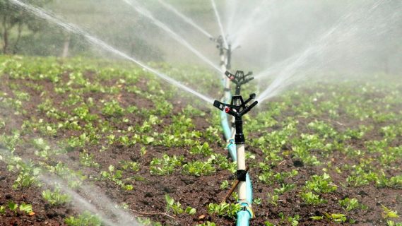 Испания поможет Узбекистану превратить воду в гель