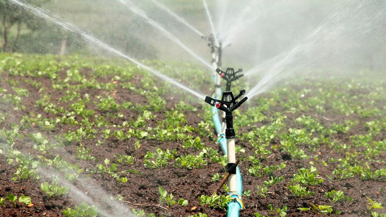 Испания поможет Узбекистану превратить воду в гель