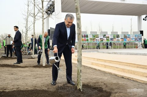 В Ташкенте появился новый парк: президент посадил в нем дерево