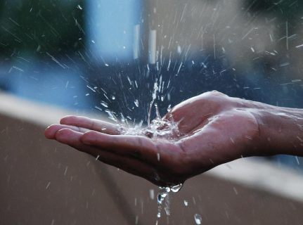 Узбекистанцы могут перейти на дождевую воду