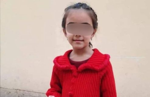 Тело пропавшей в Таджикистане девятилетней девочки нашли в Узбекистане