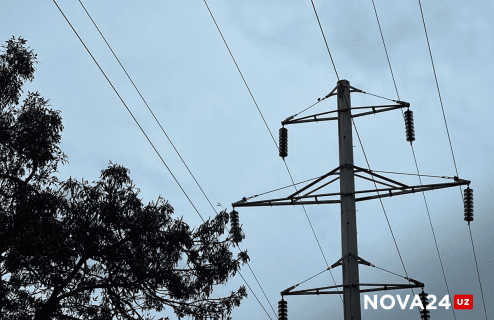 В Джизаке снег и ветер оставили без электричества тысячи жителей