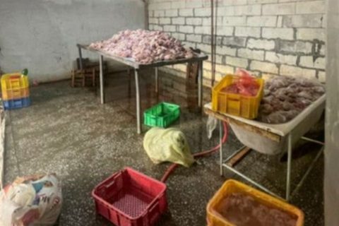 В Ташкенте раскрыли подпольный цех тухлой курятины