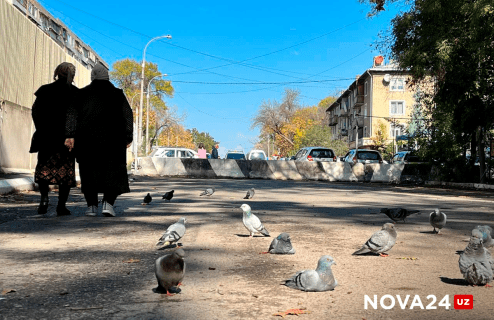 В одном из районов Ташкента скопились сотни проблем