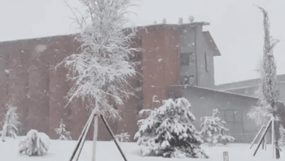 В Узбекистане выпал снег в середине весны — видео