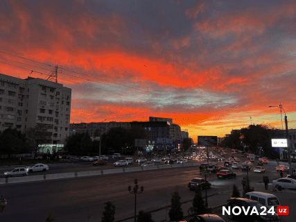 Загрязнился ли воздух Ташкента от выбросов автомобилей и предприятий?