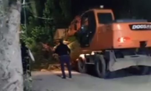 В Ташкенте разыскивают таинственную банду уничтожителей деревьев — видео