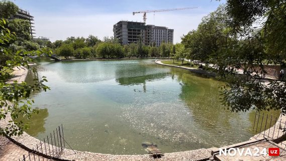 Реконструкции не будет: жители Ташкента отстояли парк «Дустлик» — репортаж