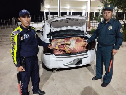 В Ташкент пытались провезти больше тонны тухлого мяса