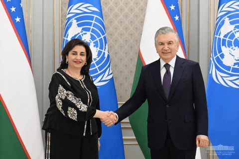В Узбекистан придет структура «ООН-женщины»