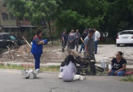 В Ташкенте на женщину с годовалым ребенком в коляске рухнуло дерево