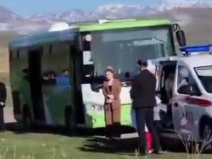 В Ташобласти у женщины в автобусе «начались роды» — видео