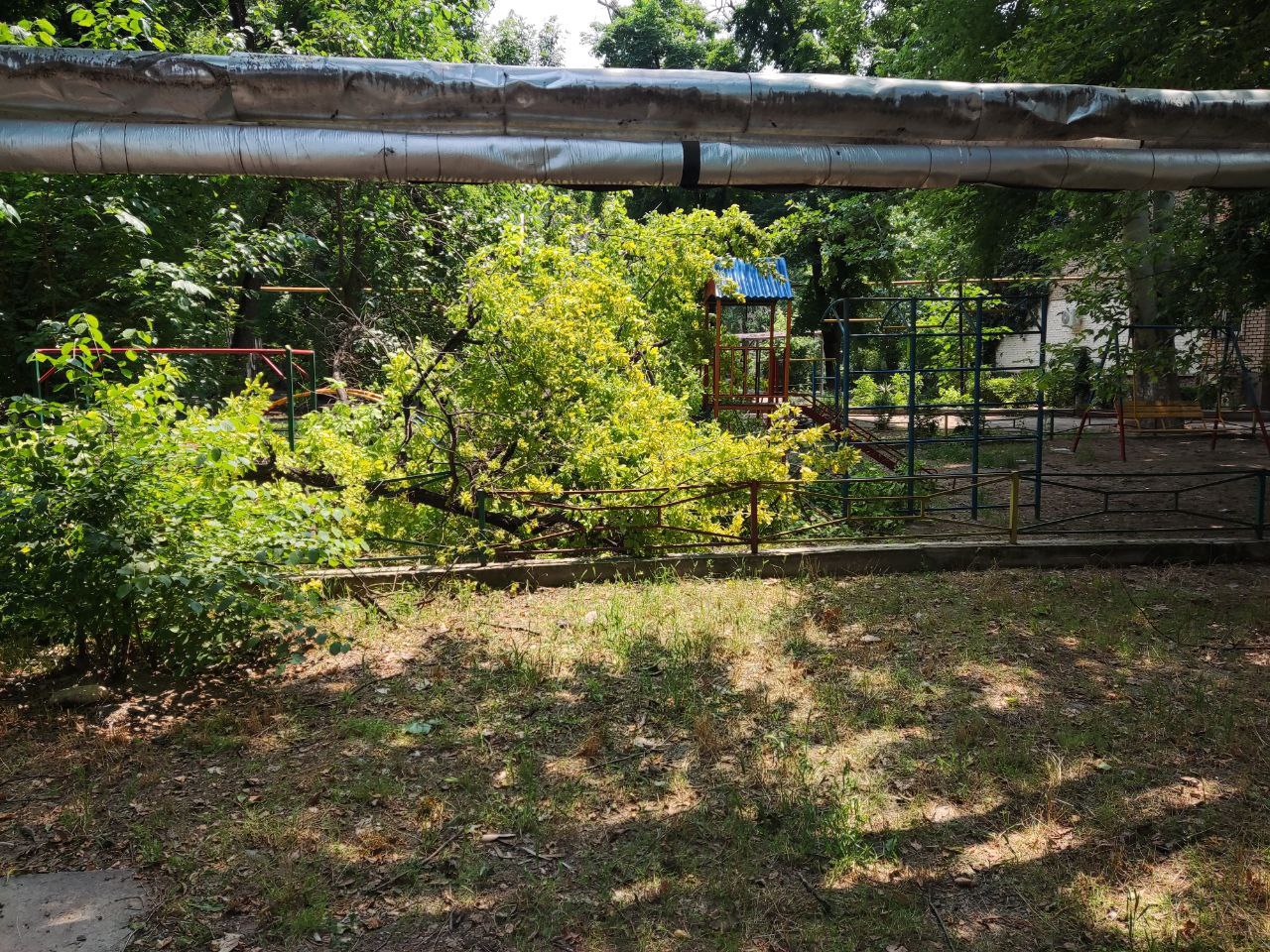 В Ташкенте на детскую площадку упало дерево