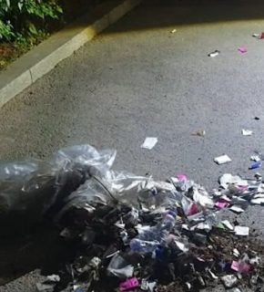 КНДР забросала Южную Корею мусором и навозом