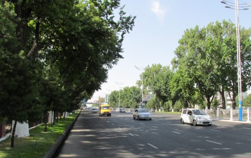 В Ташкенте перекроют улицу — схема