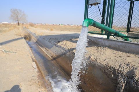 В Ташобласти руководитель теплицы украл воду на сотни миллионов
