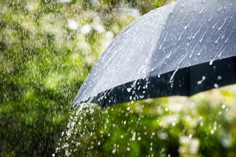 Дожди и грозы: погода на 1 июля