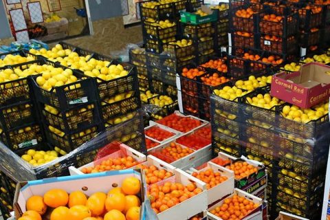 Сколько Узбекистан зарабатывает на продаже овощей и фруктов — список