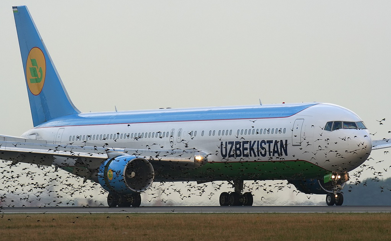 Самолет вернулся в Ташкент из-за разгерметизации