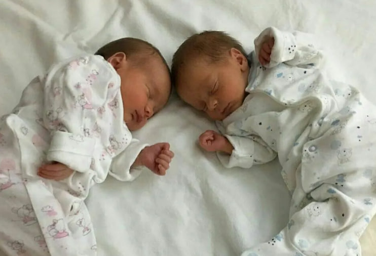 Сколько близнецов родилось с начала 2024 года — статистика